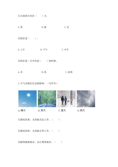 教科版二年级上册科学期末测试卷新版.docx