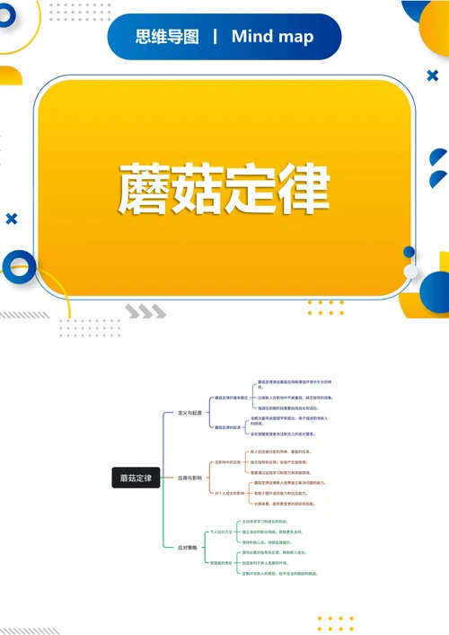 蓄菇定律知识分享思维导图