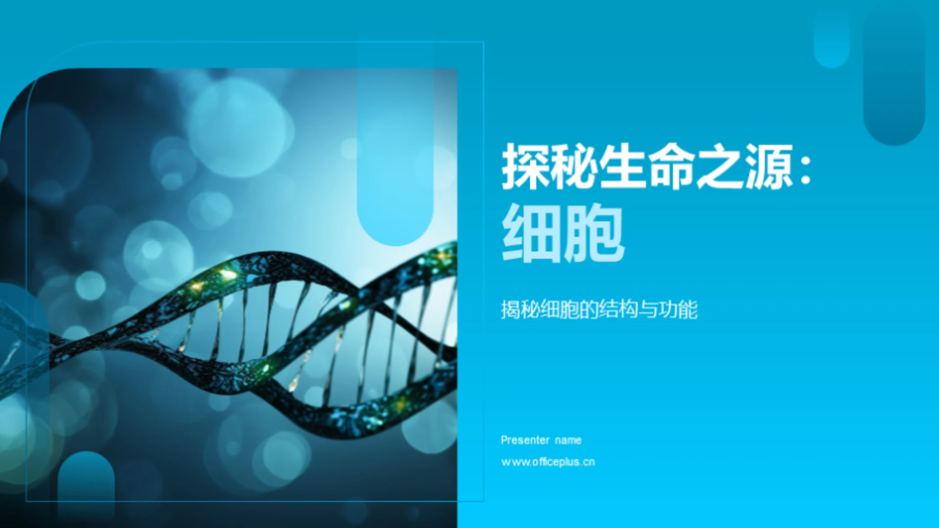 探秘生命之源:细胞