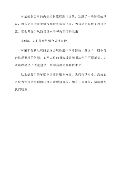 年度审计顾问服务方案
