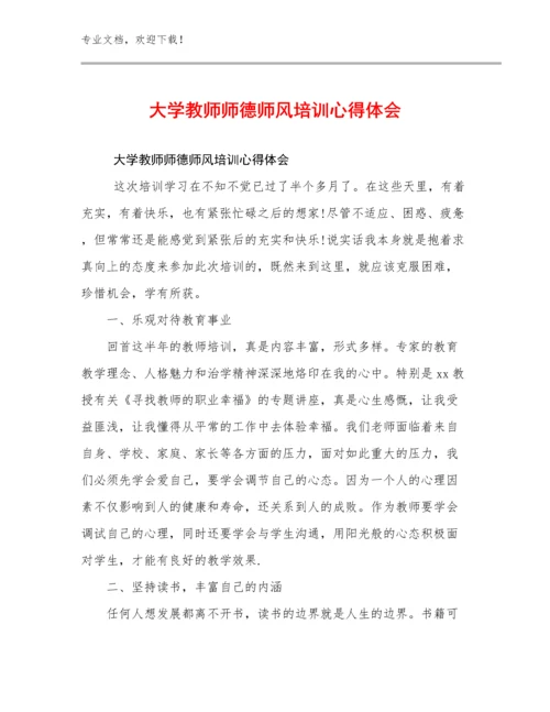 2024年大学教师师德师风培训心得体会例文5篇.docx