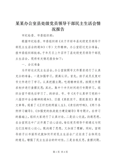 某某办公室县处级党员领导干部民主生活会情况报告 (2).docx