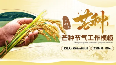 黄色芒种节气高级感PPT模板
