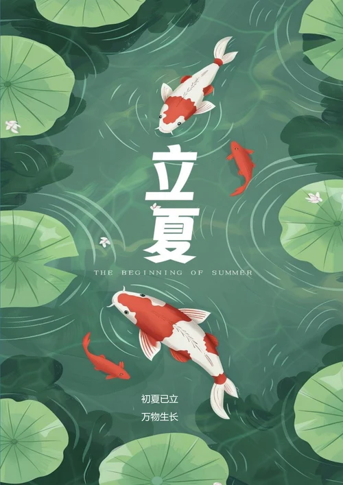 初夏已立立夏节气海报