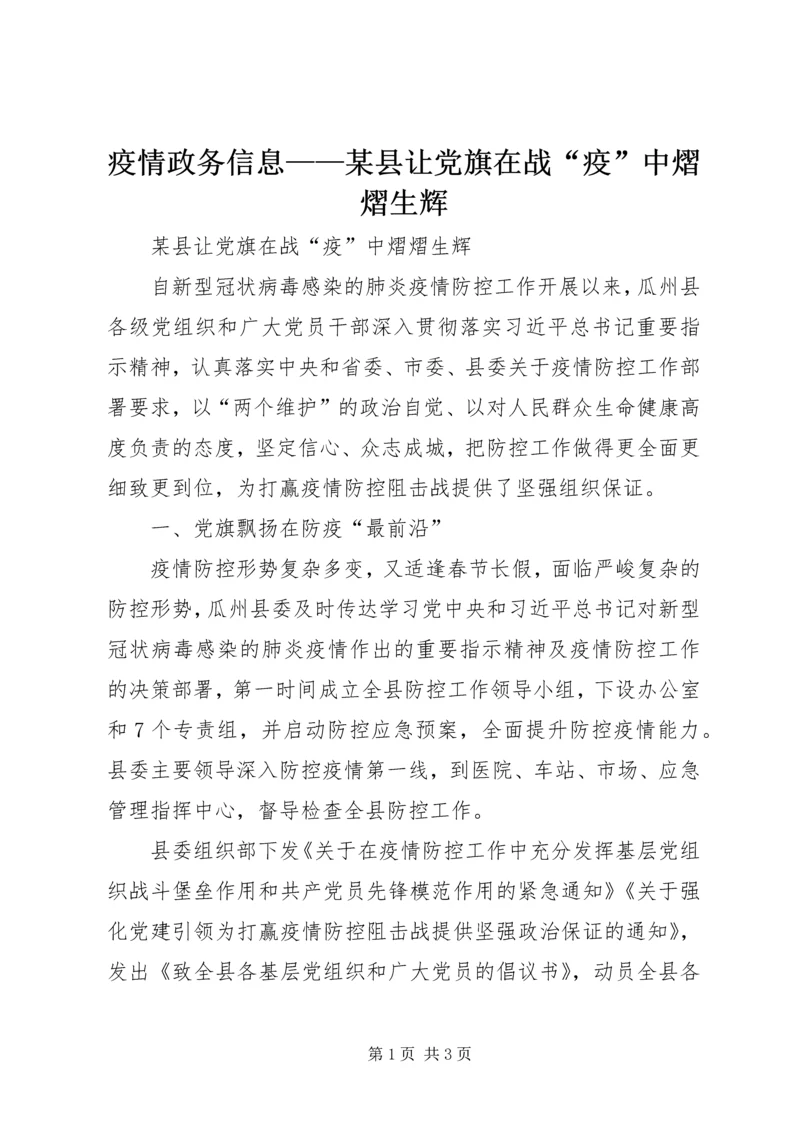 疫情政务信息——某县让党旗在战“疫”中熠熠生辉.docx