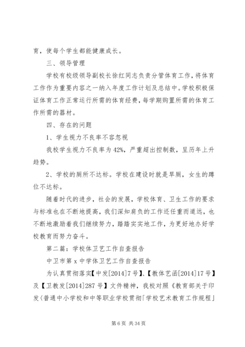 学校体卫工作自查报告.docx