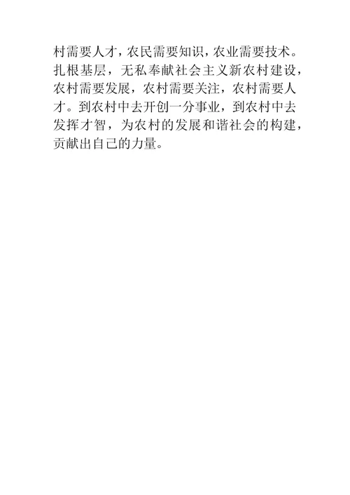 村官年终工作总结