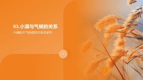 小满节气全解析