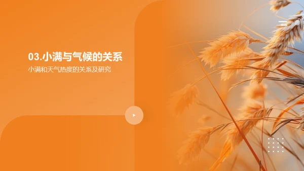 小满节气全解析