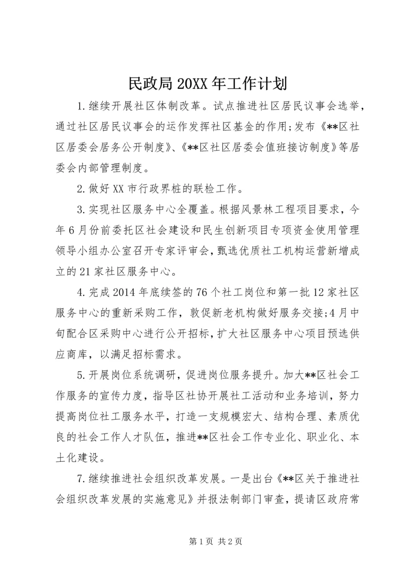 民政局20XX年工作计划.docx