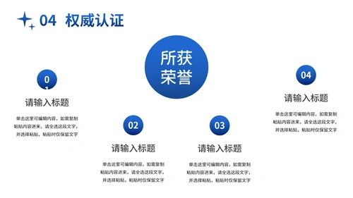 蓝金大气商务实景项目计划书