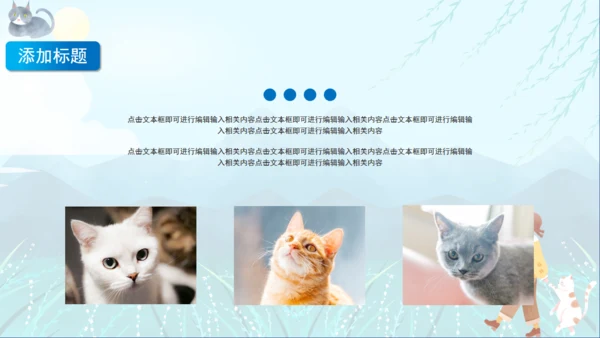 宠物猫咪喵喵成长通用PPT画册