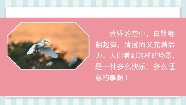 1《白鹭》课件