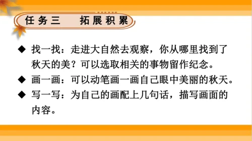【同步课件】 5.铺满金色巴掌的水泥道   课件（2课时）