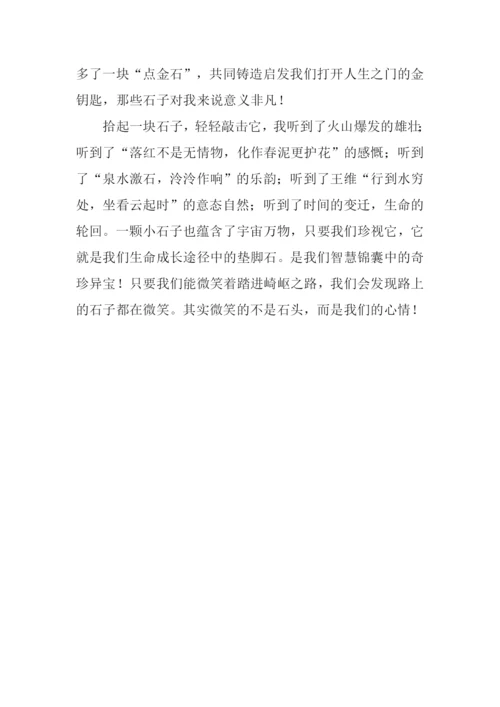 一颗石子的畅想作文.docx
