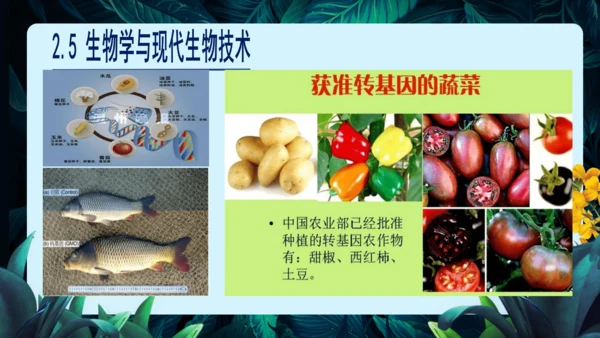 开学第一课+致同学们-【大单元教学】2023-2024学年七年级生物上册同步备课系列（人教版）(共2