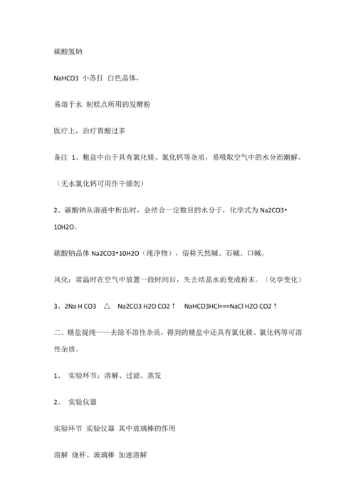 2023年初中化学第十一单元盐化肥知识点.docx