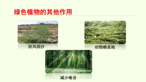3.2.4植物在自然界中的作用-七年级生物下学期同步精品课件（2024人教版）(共27张PPT)