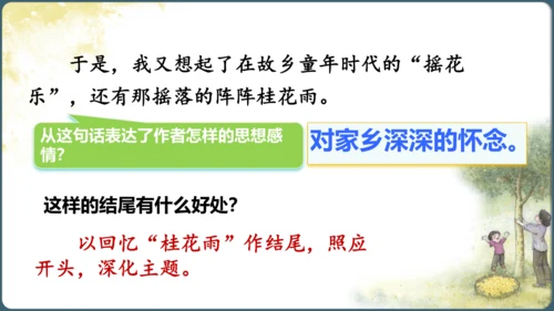 3.桂花雨  课件