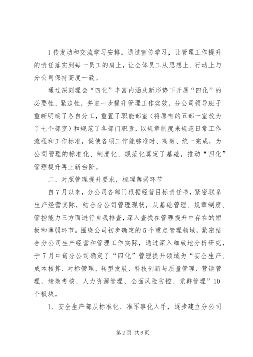 管理提升工作总结及管理提升二、三阶段推进安排范文_1 (3).docx