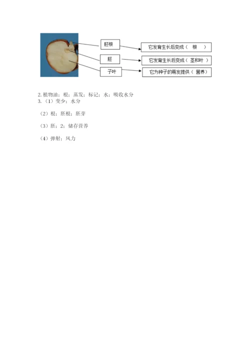 科学四年级下册第一单元植物的生长变化测试卷【a卷】.docx