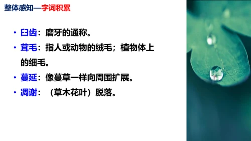 第16课《永久的生命》同步课件