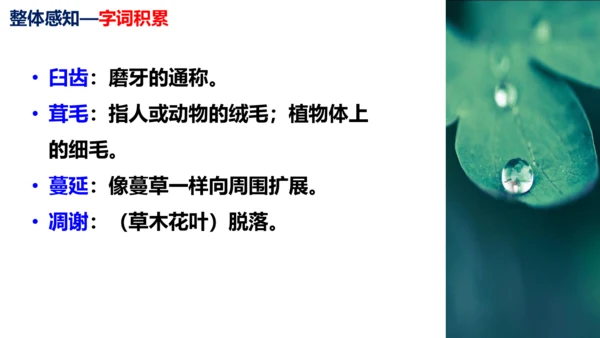 第16课《永久的生命》同步课件