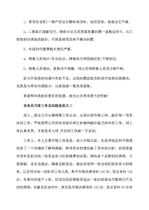 业务员月度工作总结精选范文
