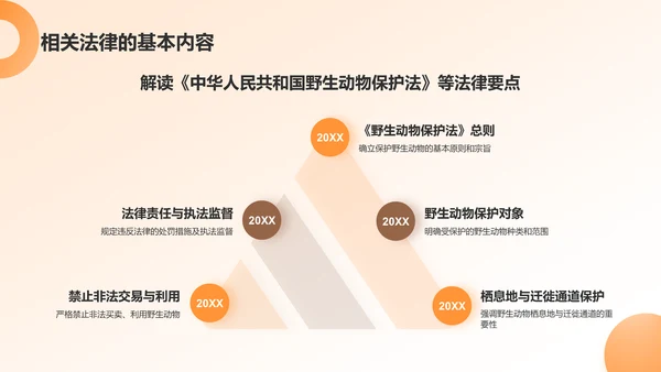 橙色简约风动物保护知识科普PPT模板