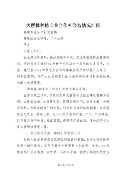 大樱桃种植专业合作社经营情况汇报 (3).docx