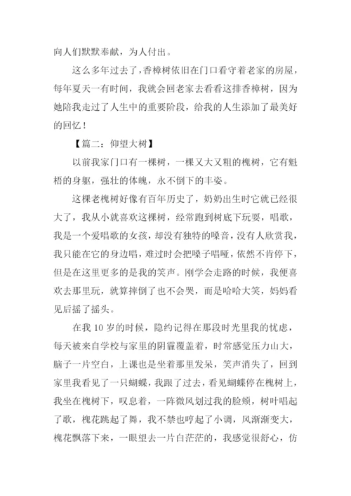 仰望大树作文600字借物抒情.docx