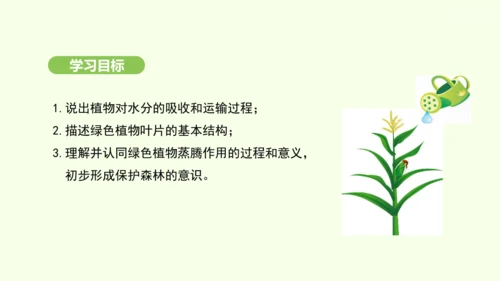 第三单元-第二章-第一节-水的利用与散失课件-2024-2025学年七年级生物下学期人教版(2024