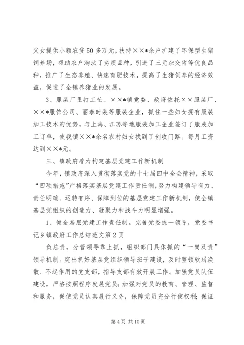 乡镇政府工作总结范文.docx