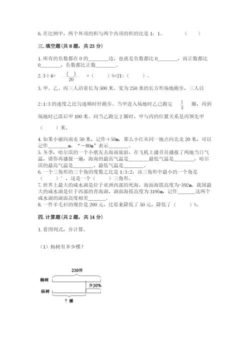 大连市沙河口区六年级下册数学期末测试卷带答案.docx