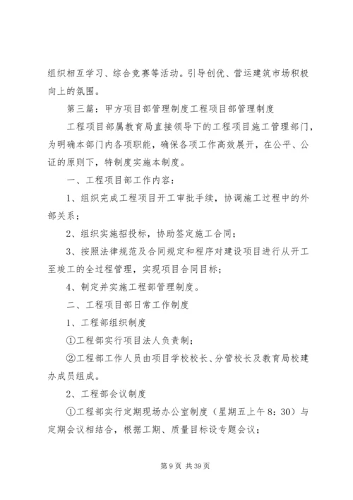 工程建设项目管理制度(甲方角度).docx