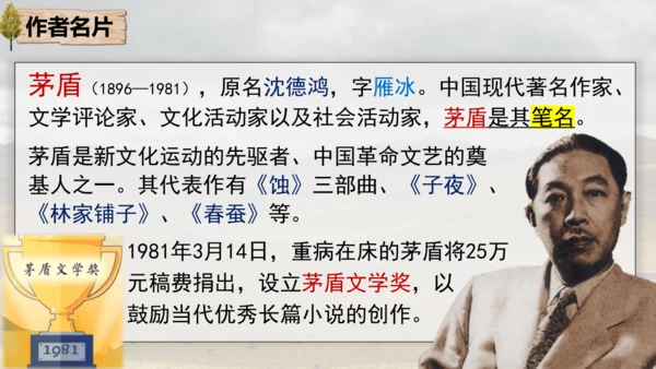 15 白杨礼赞 课件
