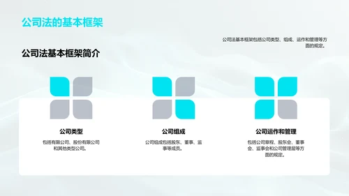 公司法解读报告