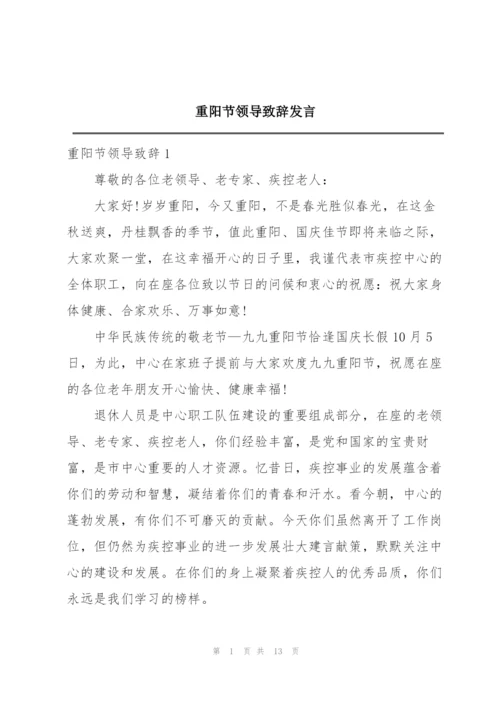 重阳节领导致辞发言.docx