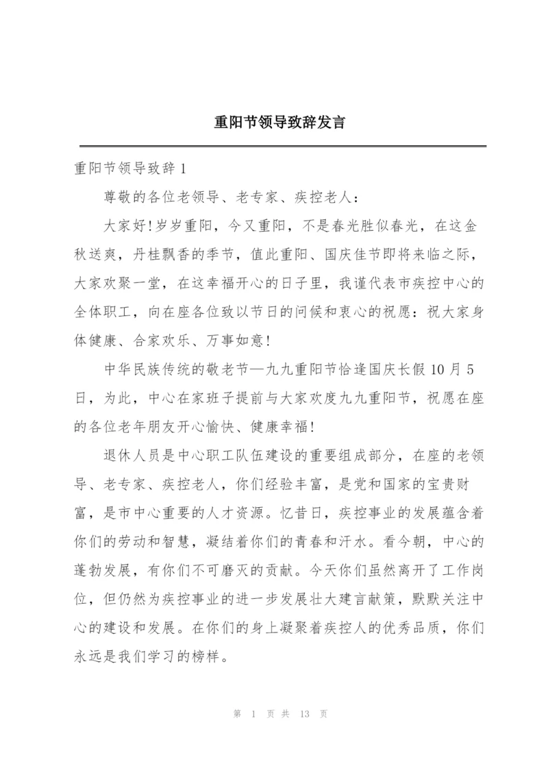 重阳节领导致辞发言.docx