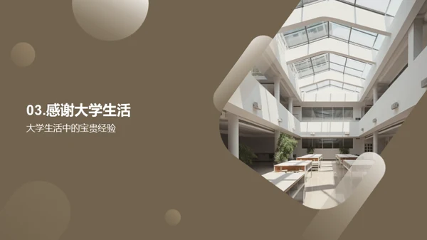 大学时光的回溯与展望