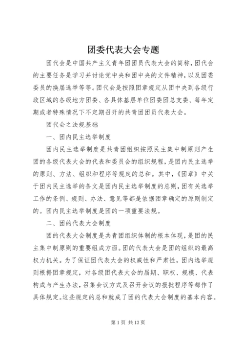 团委代表大会专题.docx