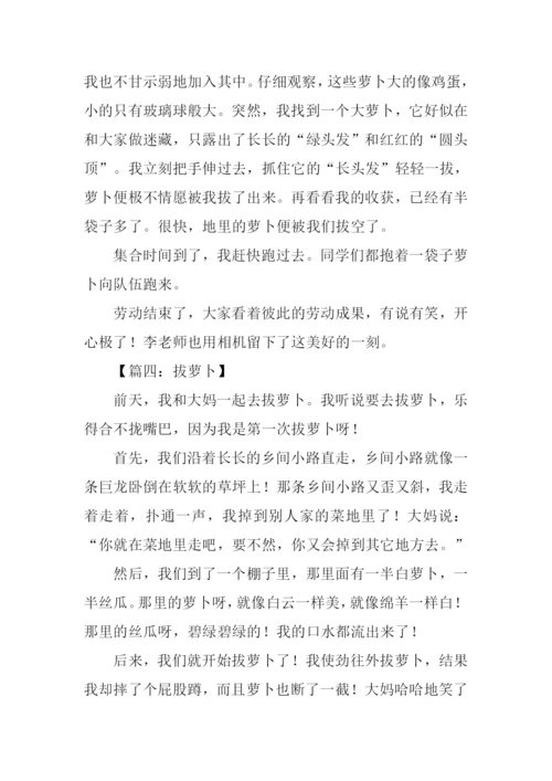 拔萝卜作文0.docx