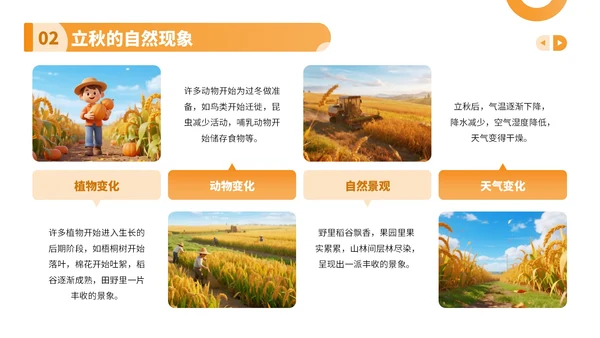 橙色卡通风走进立秋探寻节气文化