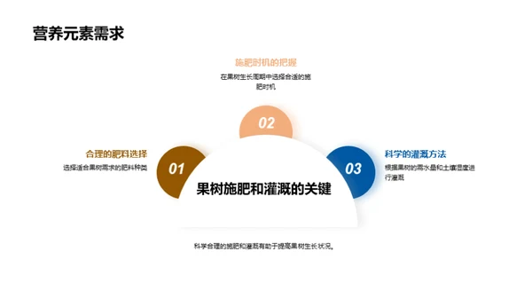 果树种植全面解析