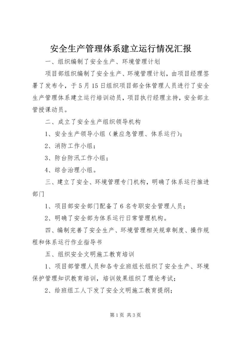 安全生产管理体系建立运行情况汇报.docx