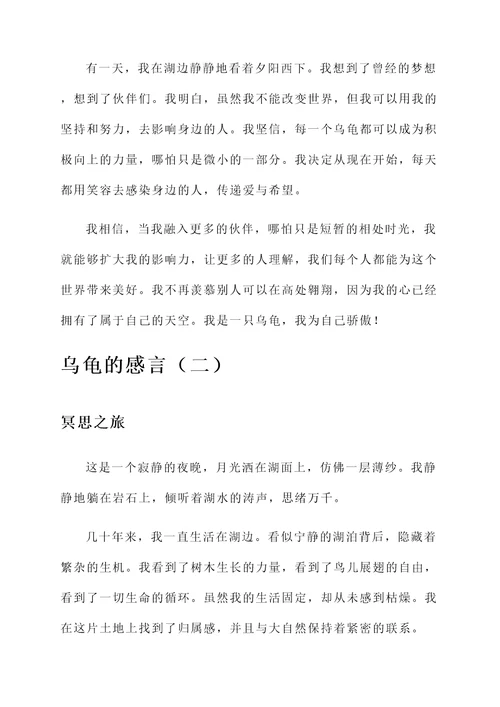 一只乌龟的感言
