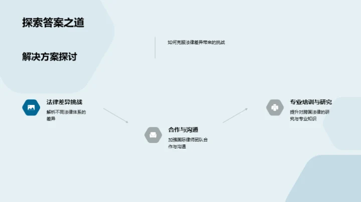 律师年度工作综述