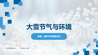 大雪节气与环境