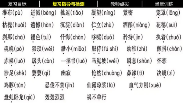 七年级下册语文复习专题二：字词梳理 课件（含截屏）