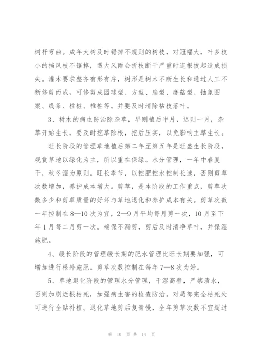 个人社会实践报告范文.docx